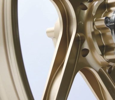 Type-GP1S for Ducati