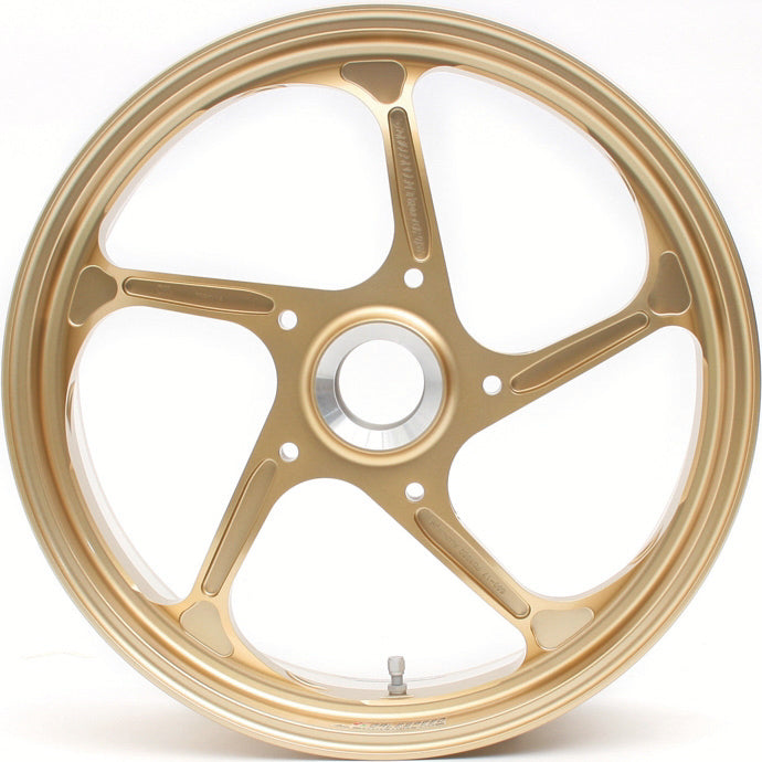 Type-GP1S for Honda