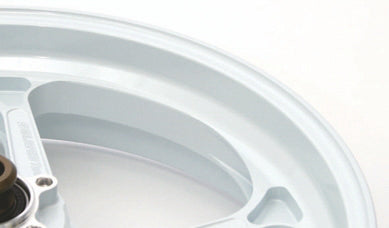 Type-GP1S for Kawasaki – Galespeedparts.com
