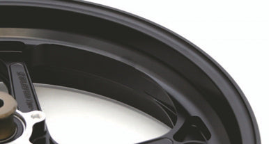 Type-GP1S for Kawasaki – Galespeedparts.com