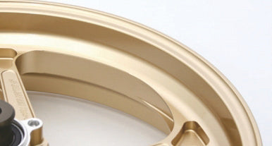 Type-GP1S for Kawasaki – Galespeedparts.com