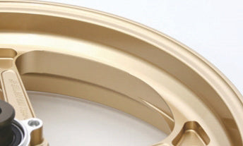 Type-GP1S for Ducati